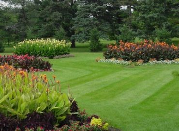 Bellevue Lawn Care & Landscaping