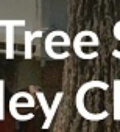 SWFL Tree Service Wesley Chapel