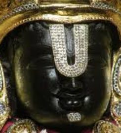 SRI BALAJI TOURS AND TRAVEL
