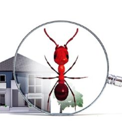 Hydrex Termite & Pest Control