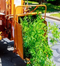 Santa Clarita Tree Service