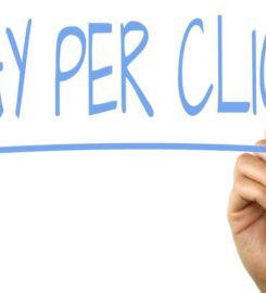 SEO Developers