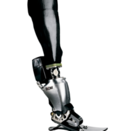 Alba Prosthetic Supplies
