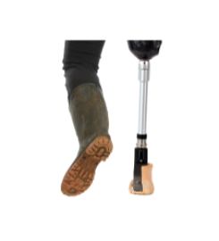 Alba Prosthetic Supplies