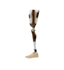 Alba Prosthetic Supplies