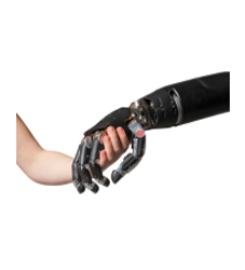Alba Prosthetic Supplies