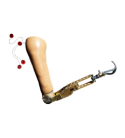 Alba Prosthetic Supplies