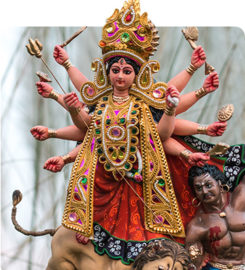 Hindu Priest Services