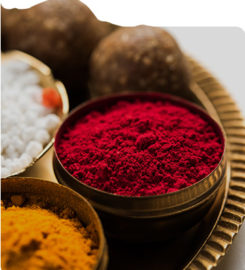Hindu Priest Services