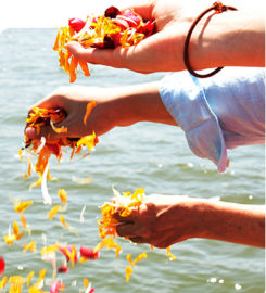Hindu Priest Services