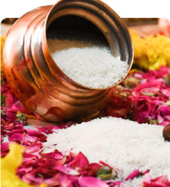 Hindu Priest Services