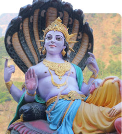 Hindu Priest Services