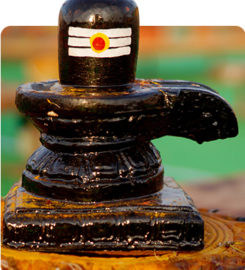 Hindu Priest Services
