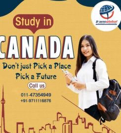 Study Visa | Tourist Visa Consultants in Delhi