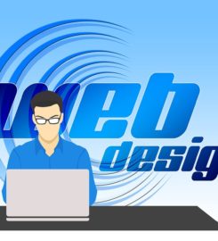 SEO Developers
