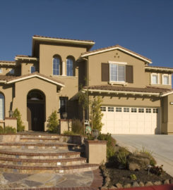Miami Stucco