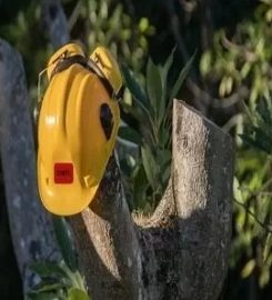 SWFL Tree Service Spring Hill