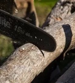 SWFL Tree Service Spring Hill
