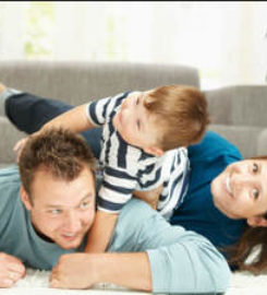 Bellevue Carpet Cleaner