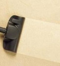 Bellevue Carpet Cleaner