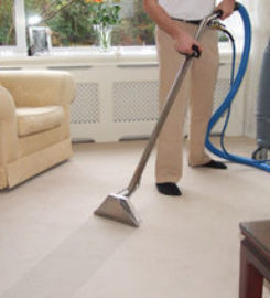 Bellevue Carpet Cleaner