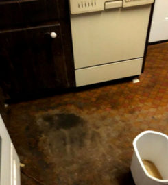 Queens Water Damage Restoration
