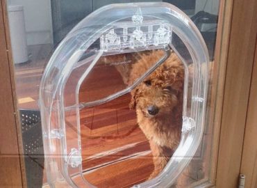 Sydney Paws Petdoor