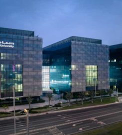Top Universities in UAE for Masters
