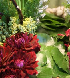 Jephry Floral Studio