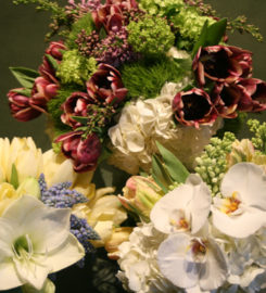 Jephry Floral Studio