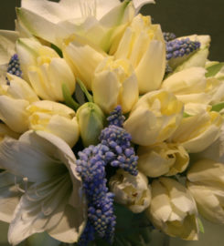 Jephry Floral Studio