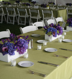Jephry Floral Studio