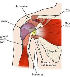 Chiropractic Adjustment