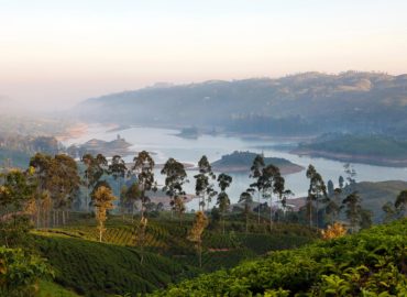 Resplendent Ceylon