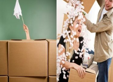 Movers Norfolk