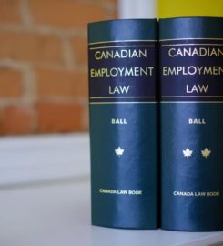 Stacey R. Ball, Barrister & Solicitor | Employment Lawyers To &hellip;