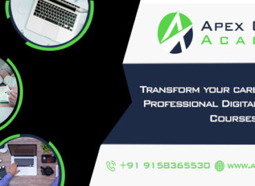 Apexonline Academy