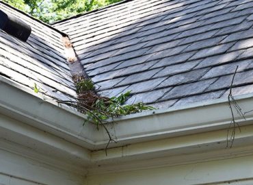 Labor Panes Window Cleaning Greensboro