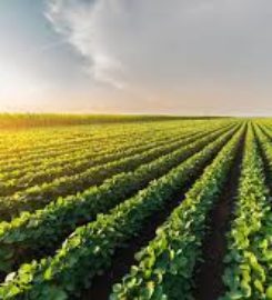 Smart Agro