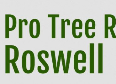 Pro Tree Removal Roswell