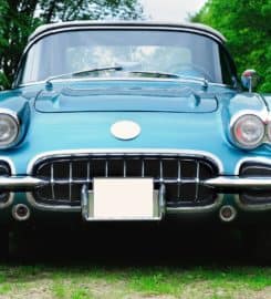 SellAnyCar