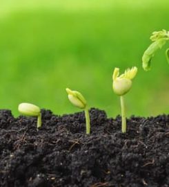 Smart Agro