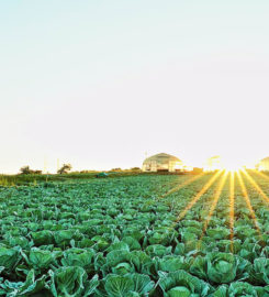 Smart Agro
