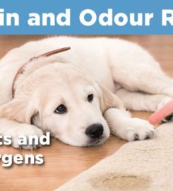 Sparkling Clean Carpets