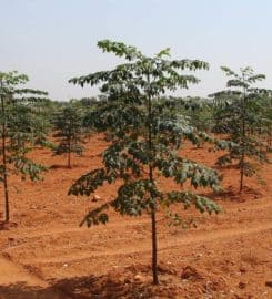 Smart Agro