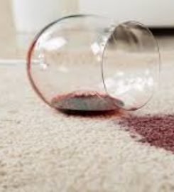 Sparkling Clean Carpets