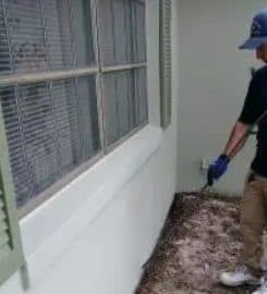 All American Termite and Pest Control Services
