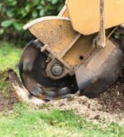Nampa Stump Grinding