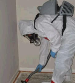 New Mexico Mold Removal