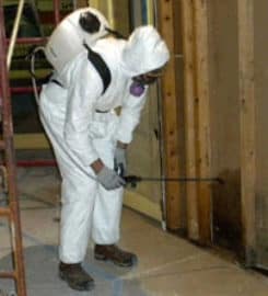 New Mexico Mold Removal